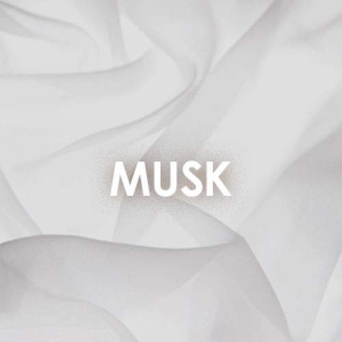 Britney Spears Perfume Sólido 50 ml