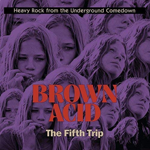 Brown Acid - The Fifth Trip [VINYL] [Vinilo]