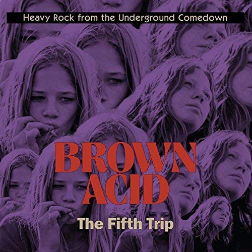 Brown Acid - The Fifth Trip [VINYL] [Vinilo]