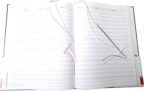 Brunnen Termin- und Unterrichtsplaner 2018/2019 Überformat A4: Baladek-Einband schwarz