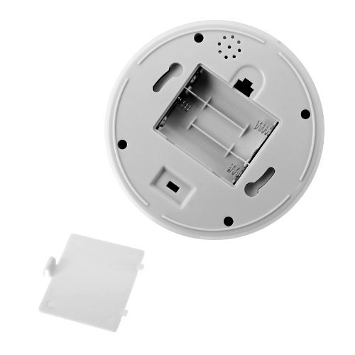 BW Cámara domo falsa