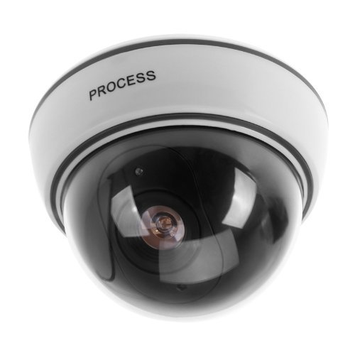 BW Cámara domo falsa