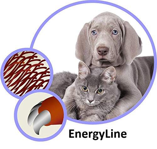 Cadoc - Nature Exclusive Biotin Complex