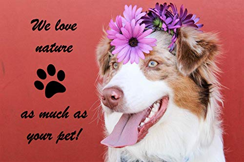 Cadoc - Nature Exclusive Levadura de cerveza