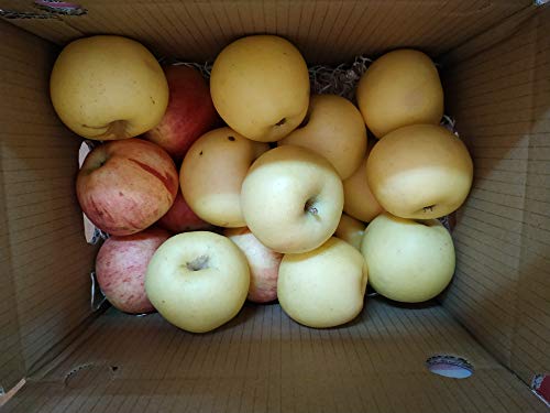 Caja Todo Manzanas 5 kilos - Producción propia Venta directa Producto fresco