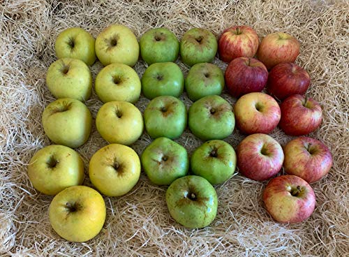Caja Todo Manzanas 5 kilos - Producción propia Venta directa Producto fresco