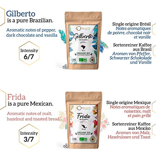 ☘️ CAJITA CAFÉ MOLIDO ECOLOGICO | Caja café degustación, 4x250g, Torrefactado Artesanal | Café ecológico molido Arábica | Idea para Regalar