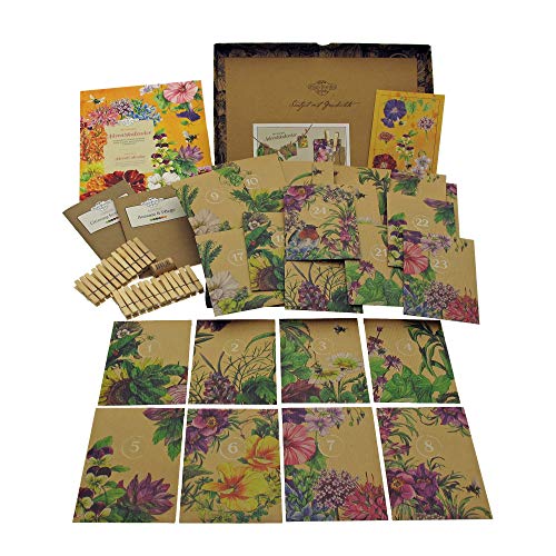 Calendario de Adviento de semillas orgánicas 2020- Plantas herbáceas perennes coloridas y amistosas con los insectos, flores de verano y plantas de florecimiento silvestre-