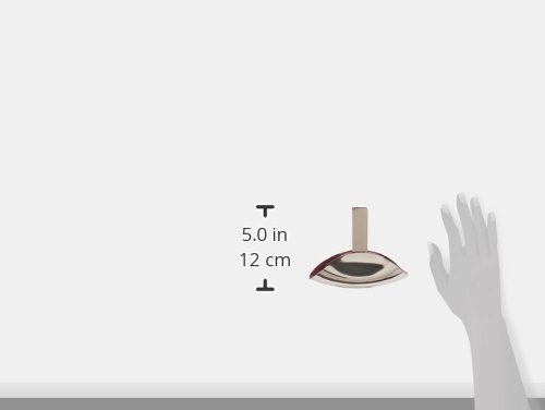 Calvin Klein Euphoria Agua de Perfume para Mujer 100 ml