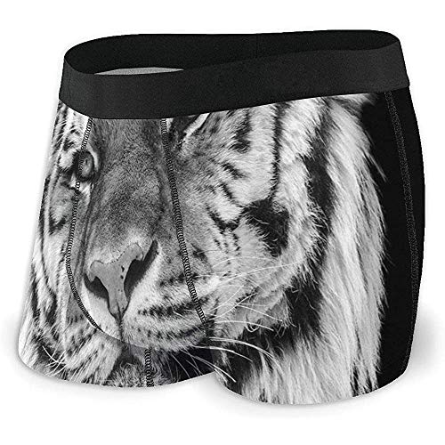 Calzoncillos bóxer para Hombre Ropa Interior, Foto de Primer Plano de una Bestia Felina Salvaje con una Mirada intensa Fuerza de un Cazador Talla S