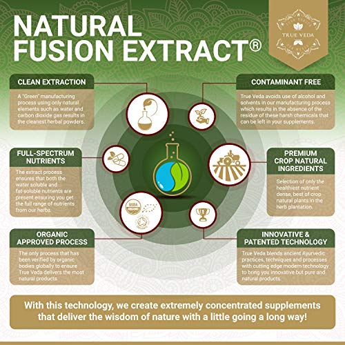 Cápsulas de Extracto de Té Verde - Con Certificación Ecológica | 100% Natural a Base de Plantas | Estimulante Bajo en Cafeína Natural | EGCG que estimula el Metabolismo | Vegano | 60 Cápsulas