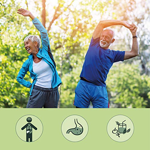 Cardo Mariano Vegavero® | 365 Cápsulas | La Dosis Más Alta: 840 mg | 80% de Silimarina | Sin Aditivos Artificiales | Detox + Hígado y Vesícula* | Testado en Laboratorio | Milk Thistle