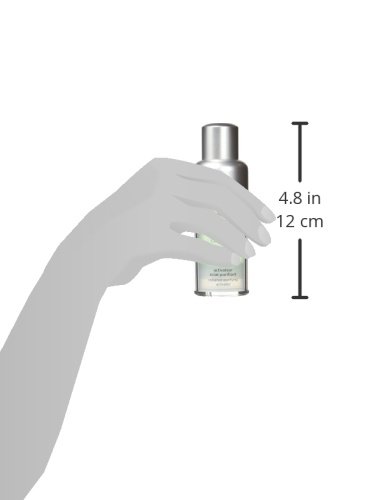 Carita Ideal Controle Sérum Poudré 30 ml