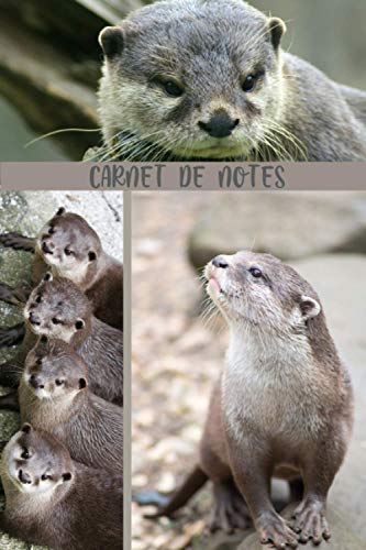 CARNET DE NOTES: LOUTRE |Journal Carnet, ligné : le cadeau idéal pour les amoureux des Loutres