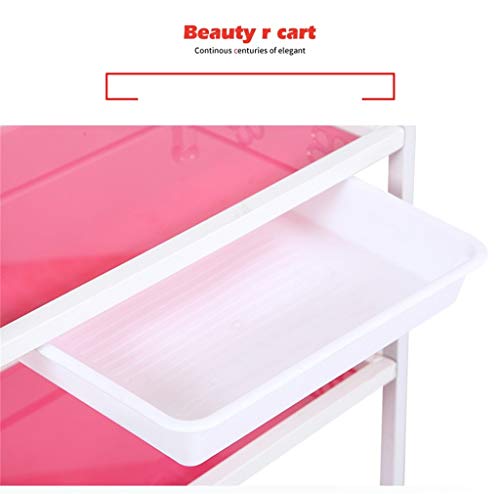 Carro de Mano Coche de Belleza Seis Colores Carro de Peluquería Salón de Belleza Multifunción Salón de Belleza con Cajones Vehículo Utilitario Pintura de Hierro Tres Capas Estante de Panel de Vidrio