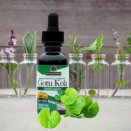 Centella Asiática, libre de alcohol, (1 oz 30 ml) - respuesta de la naturaleza