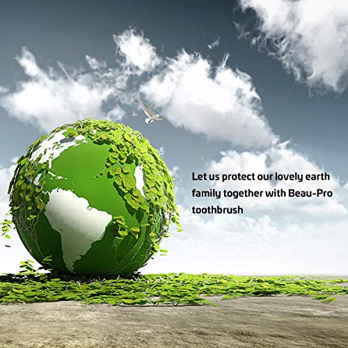 Cepillo Dientes Bambu, Paquete de 6 Cepillos de Dientes de Bambú, 100% Libre de BPA, Cepillos de Dientes Naturales y Veganos, Sostenibles, Biodegradables, Cepillos de Bambú para Una Mejor Limpieza