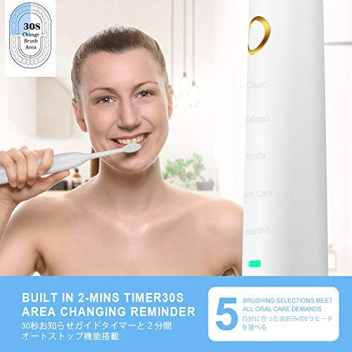 Cepillo Dientes Eléctricos Sónicos LANDWIND, Recargable 6 horas Cargadas Pueden Usarse 100 Días, 5 Modos de Cepillado con Estuche de Viaje y 5 Cabezal de Recambio, IPX7 Impermeable(Blanco)