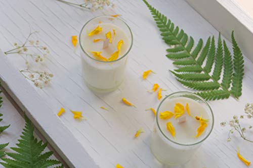 Cera de soja premium de Materialix - distintos tamaños - cera de soja natural ecológica para fabricar velas (1kg)