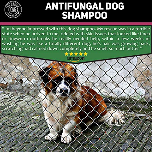 C&G Mascotas | Champú antipicazón antihongos para la piel del perro | Lavado terapéutico natural de rápida absorción | Enfriamiento muscular instantáneo alivio de primeros auxilios para
