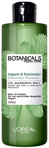 Champú L'Oréal Paris Botanicals Fresh Care Ingwer y Koriander (1 x 300 ml)