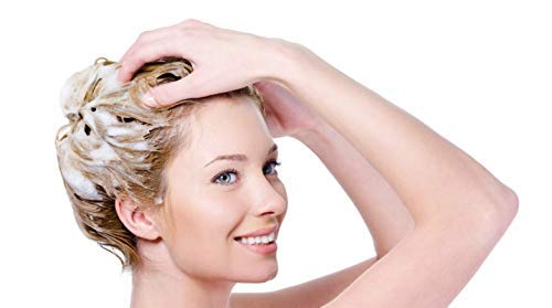 Champú Natural Ecologico con Aloe Vera, Argan, Vitaminas y Queratina (Keratina) con Ceramidas Naturales para Cabello - Pelo Dañado y Seco sin Parabenos Sin Sulfatos Anticaida y Volumen (2000 ml)