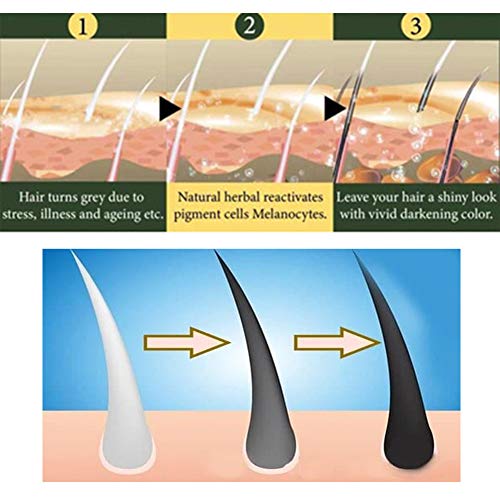 Champú Para el Cabello Negro, Champú Anticaida, Anti Pérdida De Cabello, Oscurecimiento Natural Cabello Negro Ginger Coloring