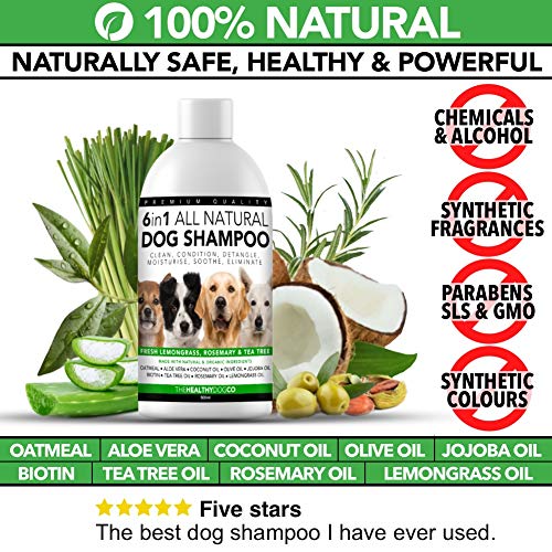 Champú para Perros 6 en 1 Completamente Natural | Citronela, Romero y Árbol de Té | 500ml | Limpia, Condiciona, Desenreda, Hidrata, Alivia la Picazón, Elimina los Gérmenes y los Olores para Perros