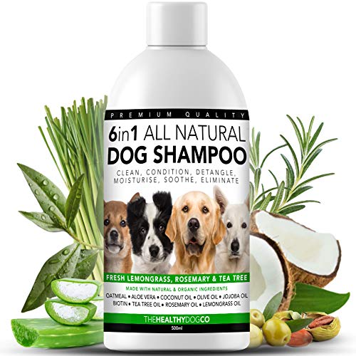 Champú para Perros 6 en 1 Completamente Natural | Citronela, Romero y Árbol de Té | 500ml | Limpia, Condiciona, Desenreda, Hidrata, Alivia la Picazón, Elimina los Gérmenes y los Olores para Perros