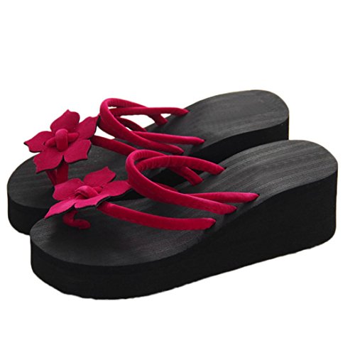 Chanclas Mujer, Xinantime Flip Flop de Ocio para Mujeres Zapatos de Plataforma Antideslizantes de Flores Zapatillas cuñas de Tacones Altos (CN:38, Rojo)