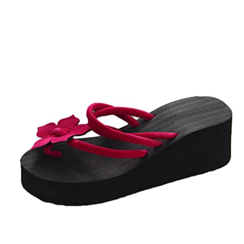 Chanclas Mujer, Xinantime Flip Flop de Ocio para Mujeres Zapatos de Plataforma Antideslizantes de Flores Zapatillas cuñas de Tacones Altos (CN:38, Rojo)