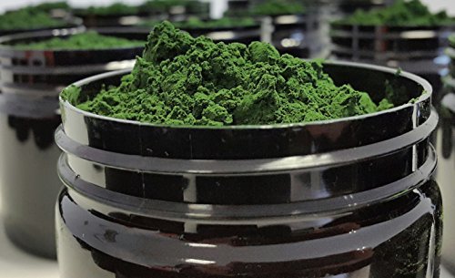 Chlorella en Polvo Ecológica | Certificado ECO | Poder Antioxidante | 100% Natural | 100 gramos