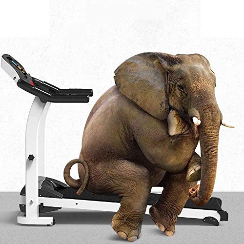 Cintas de correr for el hogar eléctricos inteligentes, multifunción eléctrica plegable caminadora máquina corriente, se pueden conectar a los teléfonos móviles / tabletas, 1.0HP de ahorro de energía d