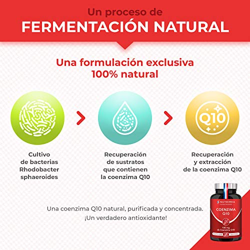 Coenzima Q10 Piel Huesos Potente Antioxidante Colesterol CoQ10 Anti Edad Regenerador Celular Arrugas Lineas de Expresión Ubiquinona Tratamiento 4 Meses Sistema Cardiovascular Inmunológico