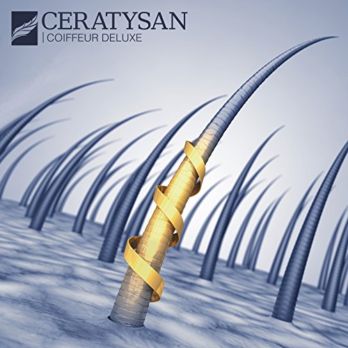 COIFFEUR DELUXE Champú específico y limpieza en profundidad | Para cabello extremadamente graso | Combate eficazmente la caspa | Revitaliza las puntas | orgánico | 250 ml | Producto de peluquería