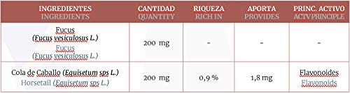 Cola de caballo + Fucus 400 mg. 90 capsulas