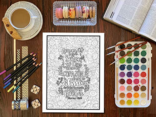 Colorea el Evangelio: Un libro cristiano de colorear para adultos: Un libro religioso con 43 versículos de la Biblia para colorear