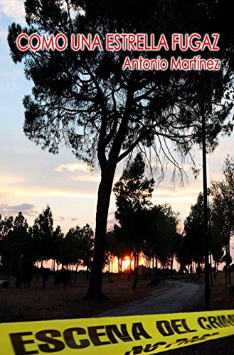 Como una estrella fugaz