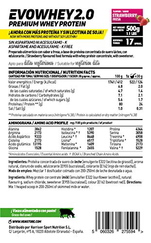 Concentrado de Proteína de Suero Evowhey Protein 2.0 de HSN | Whey Protein Concentrate| Batido de Proteínas en Polvo | Vegetariano, Sin Gluten, Sin Soja, Sabor Fresa, 500g