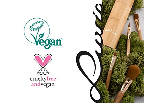 Cosmetics Juego de pinceles de maquillaje de tubo de bambú con estuche 4 pinceles de maquillaje de bambú real que incluyen almacenamiento y forzado de cepillos,vegano y libre de pruebas con animales