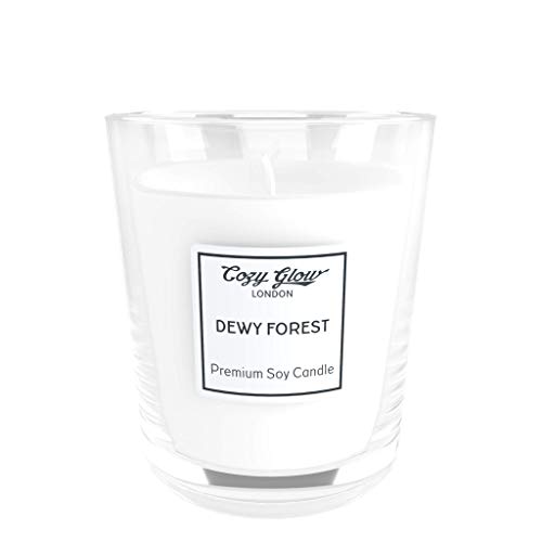 Cozy Glow Dewy Forest - Vela de soja premium
