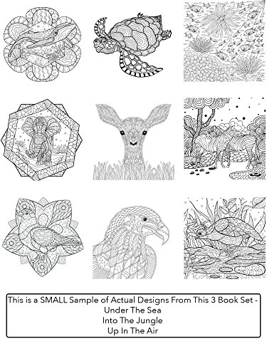Creatively Calm Studios Tres libros, diseños de la tierra del cielo y el mar, libros para colorear para los adultos relajación