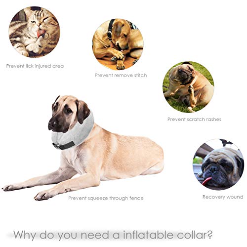 Cuello protector hinchable para perros y gatos. De tacto suave y con hebilla ajustable. Ideal para la recuperación tras una cirugía, o para curar heridas. No bloquea la visión