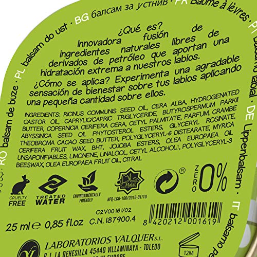 Cuidados Lip Balm Zero - Bálsamo labial sin derivados del petróleo, Hidratante para los labios, 25 ml, 1 ud