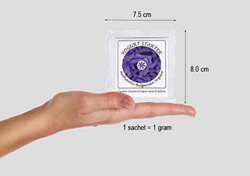 Cultivos de yogur – Paquete de 12 bolsitas de cultivo liofilizado para preparar yogur búlgaro auténtico