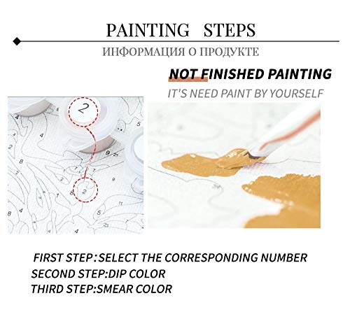 CYHLG Pintura por números DIY Pintura -Lichis Frescos, Decoraciones para el hogar Lienzo de Regalo de Pintura al óleo para Adultos niños (40 x 50cm,Sin Marco)