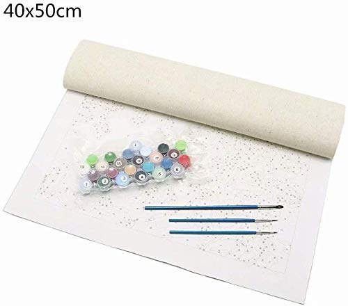 CYHLG Pintura por números DIY Pintura -Lichis Frescos, Decoraciones para el hogar Lienzo de Regalo de Pintura al óleo para Adultos niños (40 x 50cm,Sin Marco)