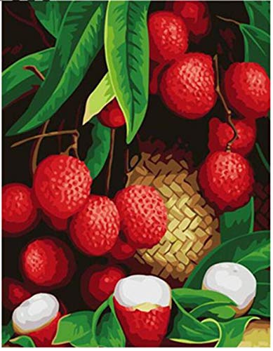CYHLG Pintura por números DIY Pintura -Lichis Frescos, Decoraciones para el hogar Lienzo de Regalo de Pintura al óleo para Adultos niños (40 x 50cm,Sin Marco)