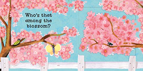 Cysit? Tweet! Tweet! (Can You Say It Too?)