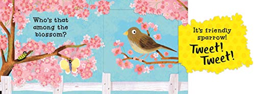 Cysit? Tweet! Tweet! (Can You Say It Too?)